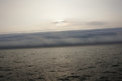 Nebel des Grauens