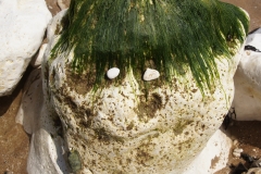 Very british - green Hairs