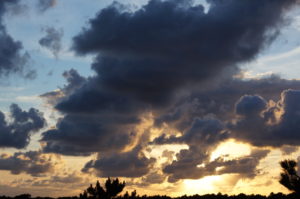 Mehr über den Artikel erfahren #2 England